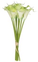 9 PCE CALALILY BUNCH - GREEN