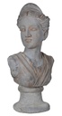 BUST