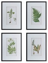 BOTANICAL WAL ART S/4