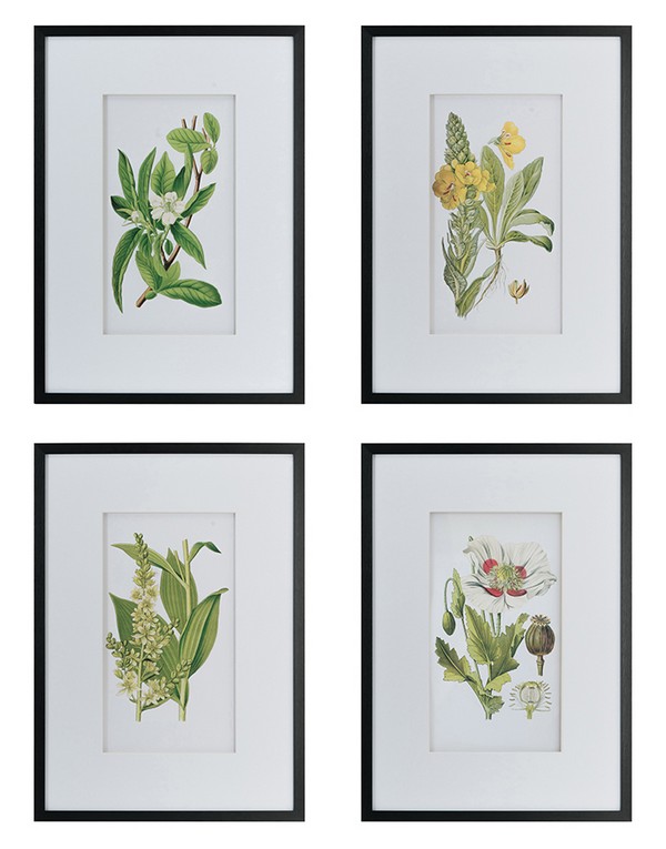 BOTANICAL WAL ART S/4