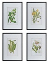 BOTANICAL WAL ART S/4