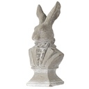 RABBIT HEAD