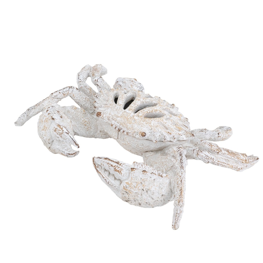 WHITE CORAL LOOK CRAB