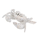 WHITE CORAL LOOK CRAB