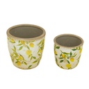 LEMON & LEAVES PLANTER S/2