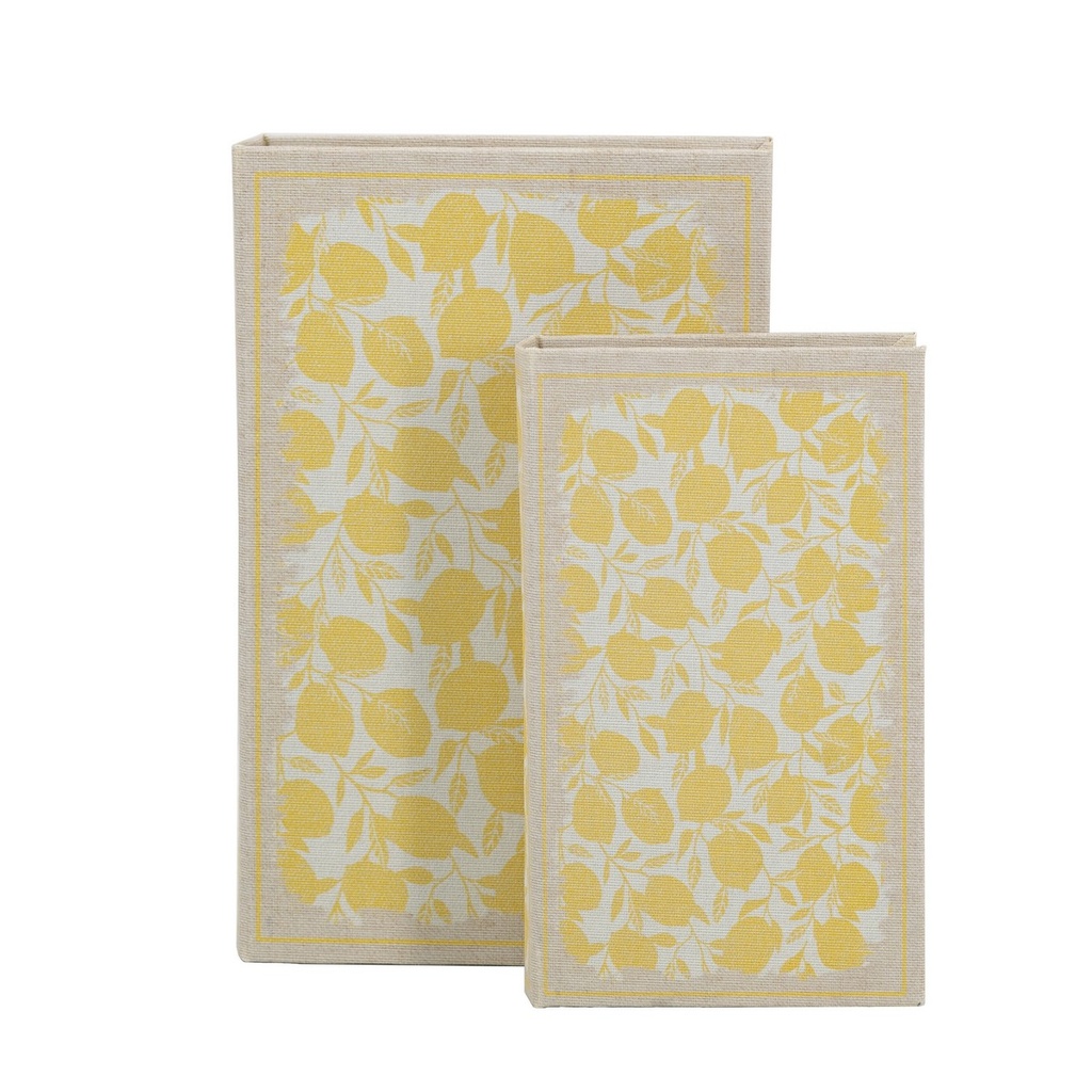 LEMON BOOK BOX S/2