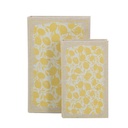 LEMON BOOK BOX S/2