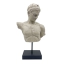 BUST