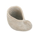 SHELL PLANTER - L