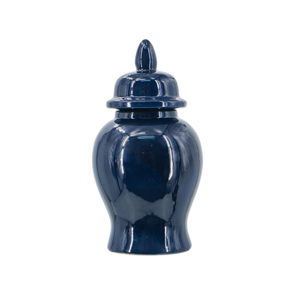 BLUE GINGER JAR