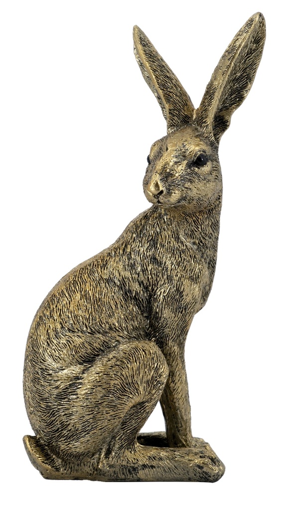 GOLD RABBIT