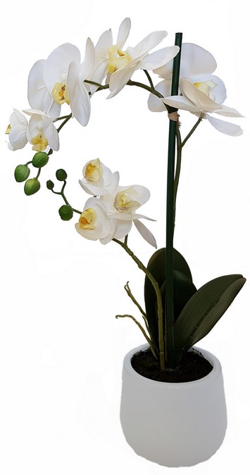 REAL TOUCH ORCHID 2 SPRAY