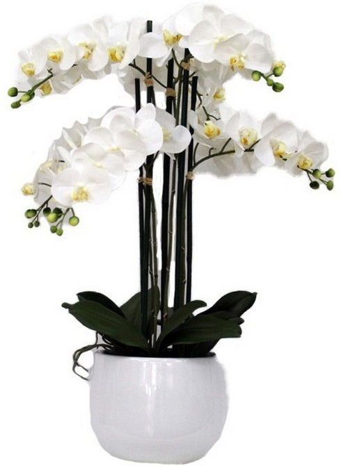REAL TOUCH ORCHID 6 SPRAY WHITE WITH WHITE POT