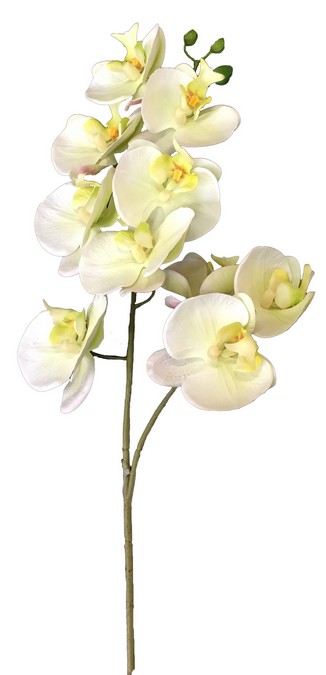 REAL TOUCH ORCHID 1 SPRAY STEM - LIGHT GREEN