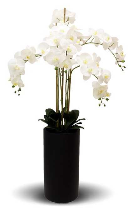 REAL TOUCH ORCHID 5 SPRAY WHITE WITH TALL BLACK POT