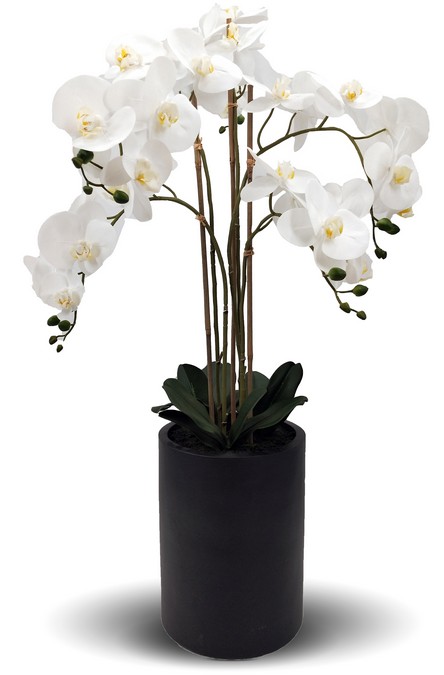 REAL TOUCH ORCHID 5 SPRAY WHITE WITH TALL BLACK POT