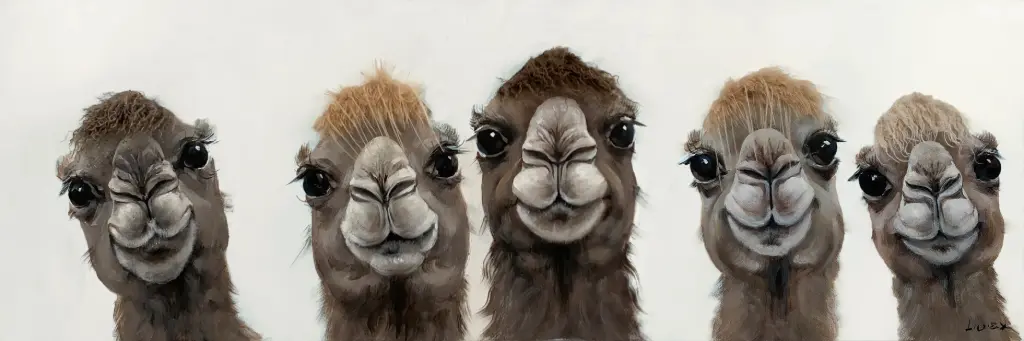 BAD HAIR DAY - 5 LAMA CANVAS