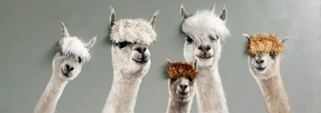BAD HAIR DAY - 5 ALPACA CANVAS