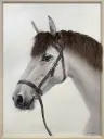 BAD HAIR DAY - WHITE HORSE CANVAS