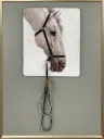 WHITE HORSE WITH REINS CANVAS