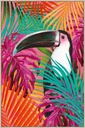 TOUCAN