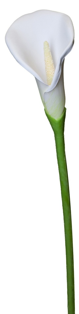 CALLA LILY SPRAY / WHITE