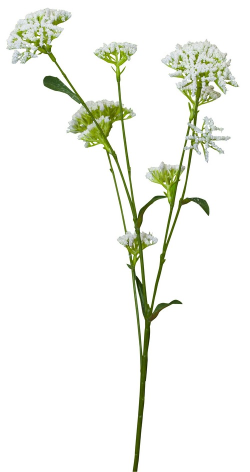 EUCALYPTUSE SEEDS SPRAY / WHITE