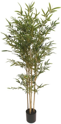 [IV3008] BAMBOO TREE