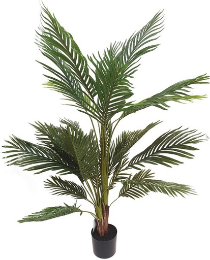 [IV3009] PALM