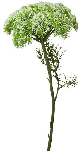 [PG1010] QUEEN ANNES LACE SPRAY / WHITE