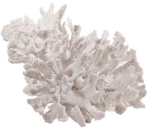[SE2111] FAUX CORAL