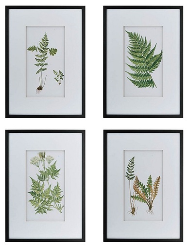 [SE2318] BOTANICAL WAL ART S/4