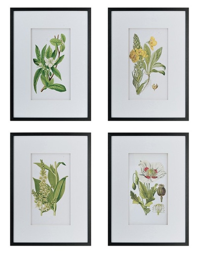 [SE2319] BOTANICAL WAL ART S/4