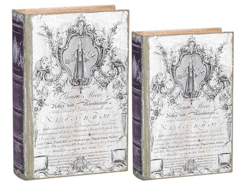 [SE2345] BOOK BOXES S/2