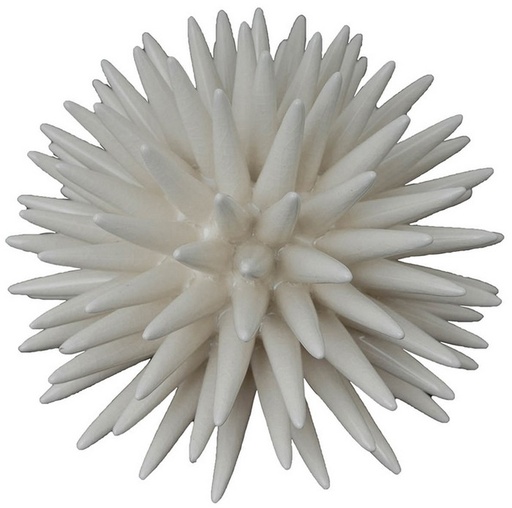 [SE2380] CORAL