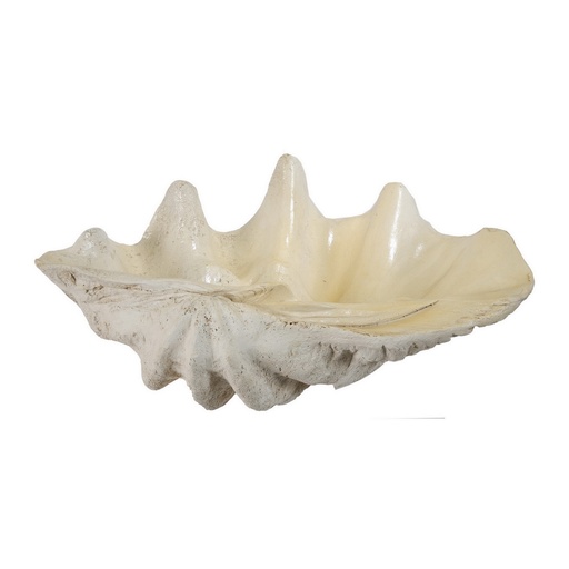[SE2729] LARGE SHELL