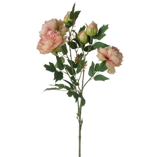 [SE2798] FAUX PEONY STEM