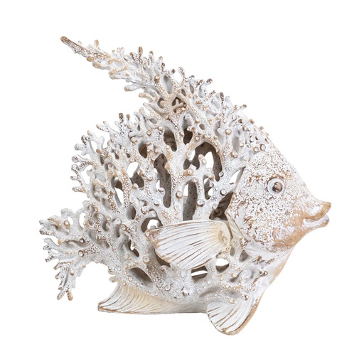 [SE2857] WHITE CORAL LOOK ANGELFISH