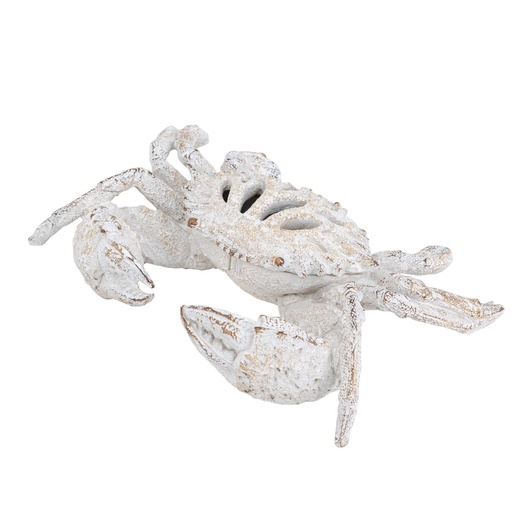 [SE2860] WHITE CORAL LOOK CRAB