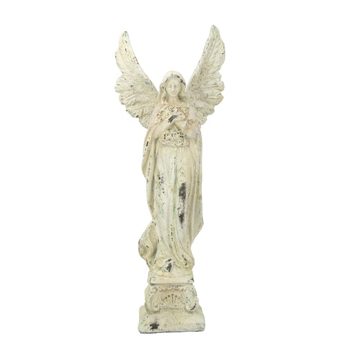[SE2892] ANGEL