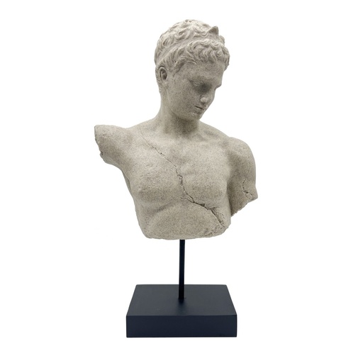 [SE2919] BUST