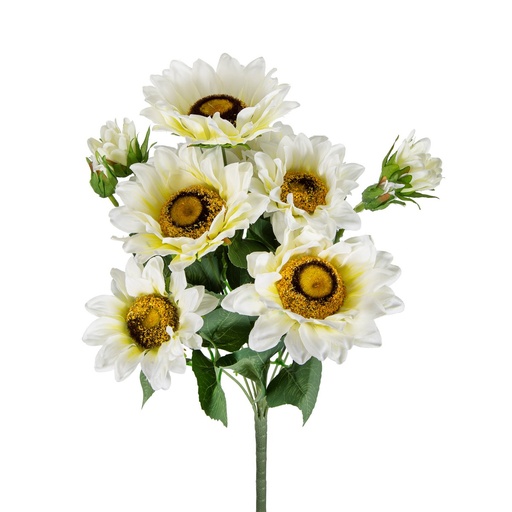 [SE2929] WHITE SUNFLOWER STEMS 9 HEADS
