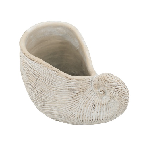 [SE2947] SHELL PLANTER - S