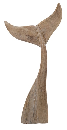 [SE3040] WHALE TAIL