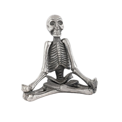 [TK1283] ALUMINIUM YOGA SKELETON