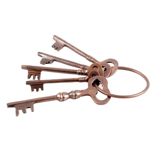 [TK1325] ALUMINIUM / COPPER ANTIQUE SET KEYS