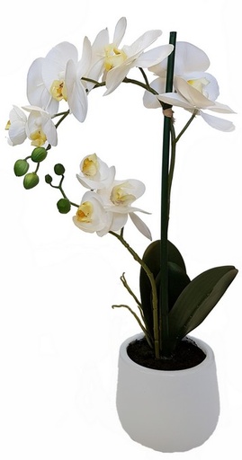 [YI1002] REAL TOUCH ORCHID 2 SPRAY