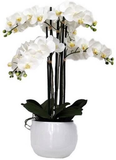 [YI1007] REAL TOUCH ORCHID 6 SPRAY WHITE WITH WHITE POT