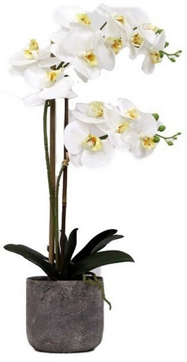 [YI1009] REAL TOUCH ORCHID 2 SPRAY WHITE WITH STONE POT