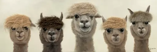 [ZL6003] BAD HAIR DAY - 5 ALPACA CANVAS